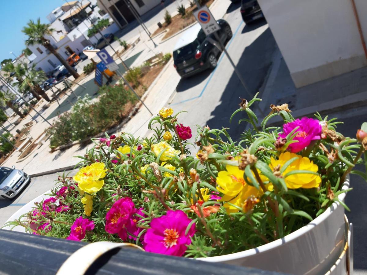 Finestra Azzurra Apartment San Vito Lo Capo Ngoại thất bức ảnh